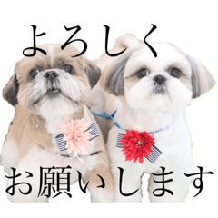 もか★おと〈ときどきぺ〉