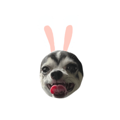 Ochike_20210812142124