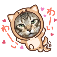 azu_20210812165448