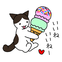 My cat will reply Part4-sirokiji