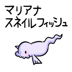 マリアナスネイルフィッシュ Line スタンプ Line Store マリアナスネイルフィッシュ Line スタンプ Line Store