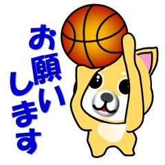 A shiba inu which plays basketball