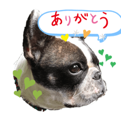 TonTon_20210812172847