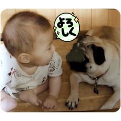 ayumi_20210812184436