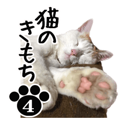 NEKO no kimochi 4 cat