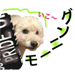 monsuke4