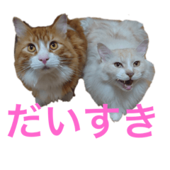 miki_20210813015531