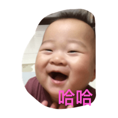 可愛小飛飛