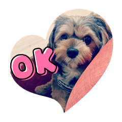 junko_20210813080331