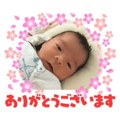 aoi_20210713