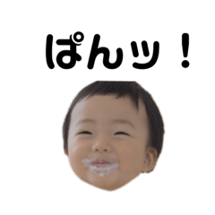 hikari_20210813094004