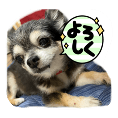yuto_20210812180633