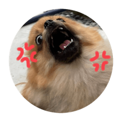 arisa_20210812212115