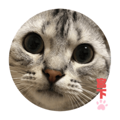 MAYUMI_20210812212256