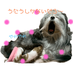 hanaco*_20210812223654
