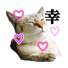 Hanyako  stamp 2