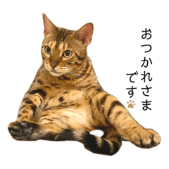 ASAKO_20210812103317