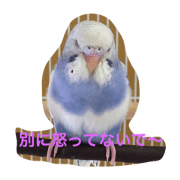 torikansai