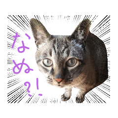chie_20210813003314
