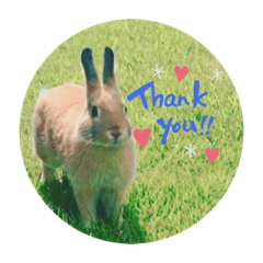 Hikari_20210812171520