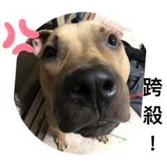 我の名字叫巴蒂