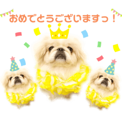 momoko_20210813143546