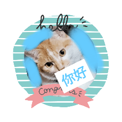 小可愛百'可