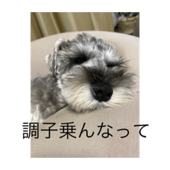 YUTO_20210813130907