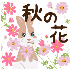 Rabbits and cats full of autumn flowers