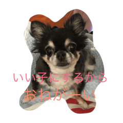 mixpurinkokoa