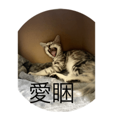 唄果