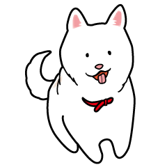 white cute dog