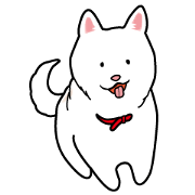 white cute dog