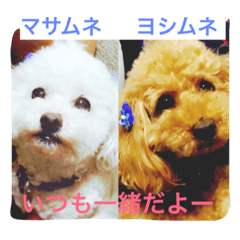 Yoshi&Masa