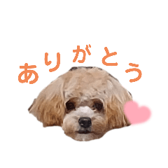 yuka_20210813153604