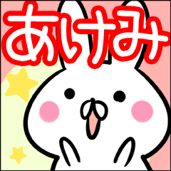 Akemi rabbit Sticker
