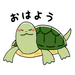 ミシシッピアカミミガメのスタンプ Line スタンプ Line Store