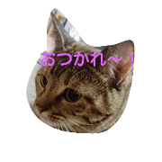 nyanchan.