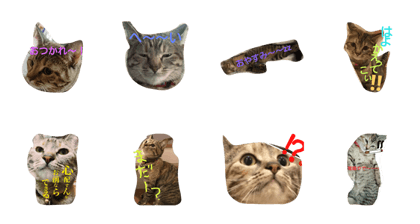 nyanchan.