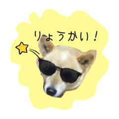 GO!GO!RIKU2