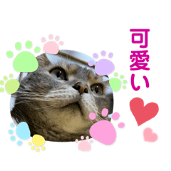 miki_20210813213143
