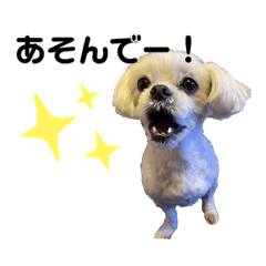 sayuri_20210813133233