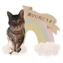 chacha__coton sticker