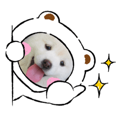 hana_20210813222024