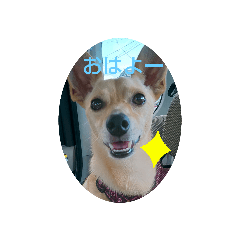 tomomi_20210813232701