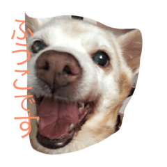 Fu-ko