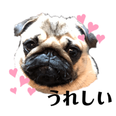 asuka_20210814001022