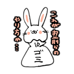 imo_usagi