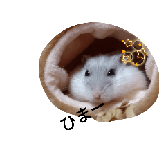 hikari_20210813155600