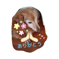 kuu_20210813172832